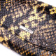 Яркий женский кошелек с клапаном из фактурной кожи под рептилию KARYA 184870 Разноцветный